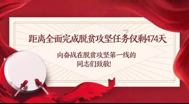 小猫钓鱼正版下载中文版