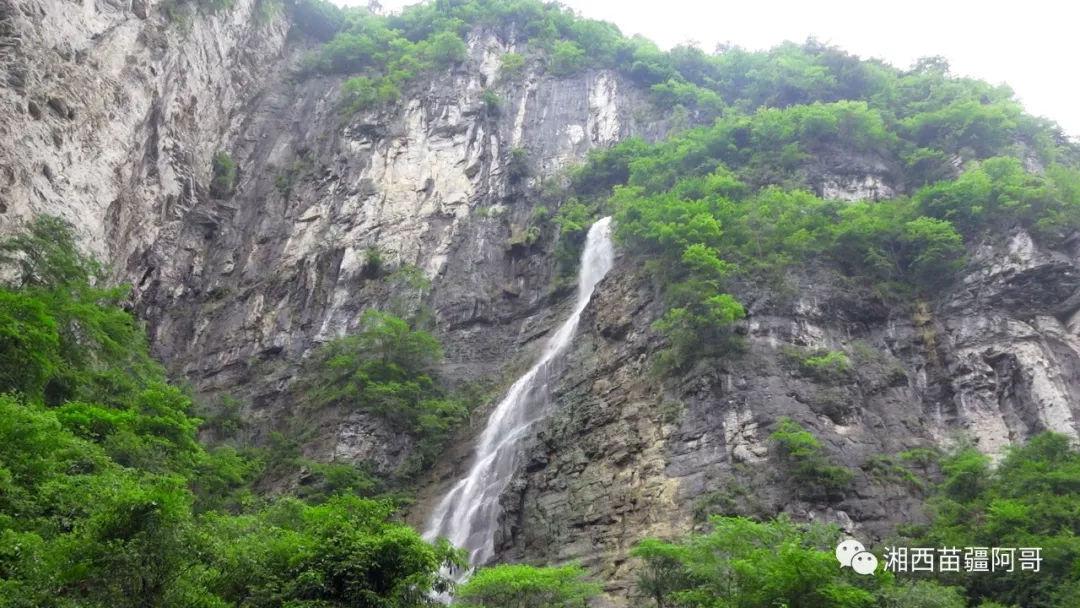 全民剧本大师内置菜单
